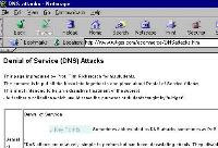 http://www.witiger.com/ecommerce/DNSattacks.htm