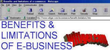 http://www.witiger.com/ecommerce/benefits-limitations.htm